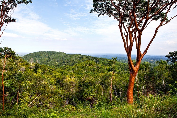 Scenic drive from Las Terrazas to Soroa