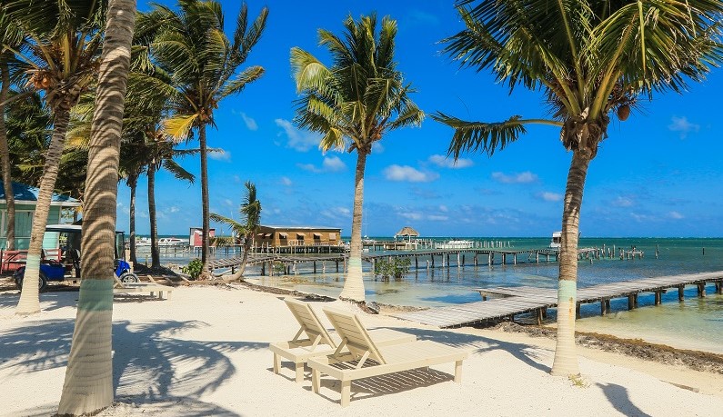 Sandy beach with palm trees in Belize