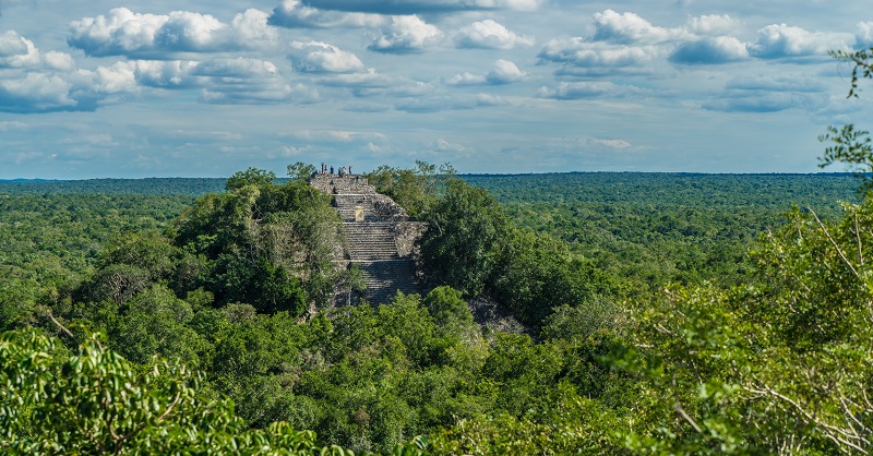 The Mayan ruins of Calakmul in the south of the Yucatan Peninsula