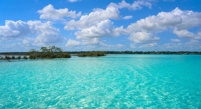 Shallow waters of a lake