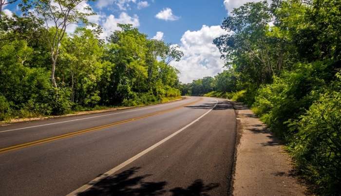 Road passing through picturesque forest in the Yucatan Peninsula