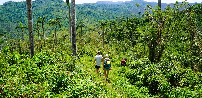 Walking excursion from Baracoa, Cuba