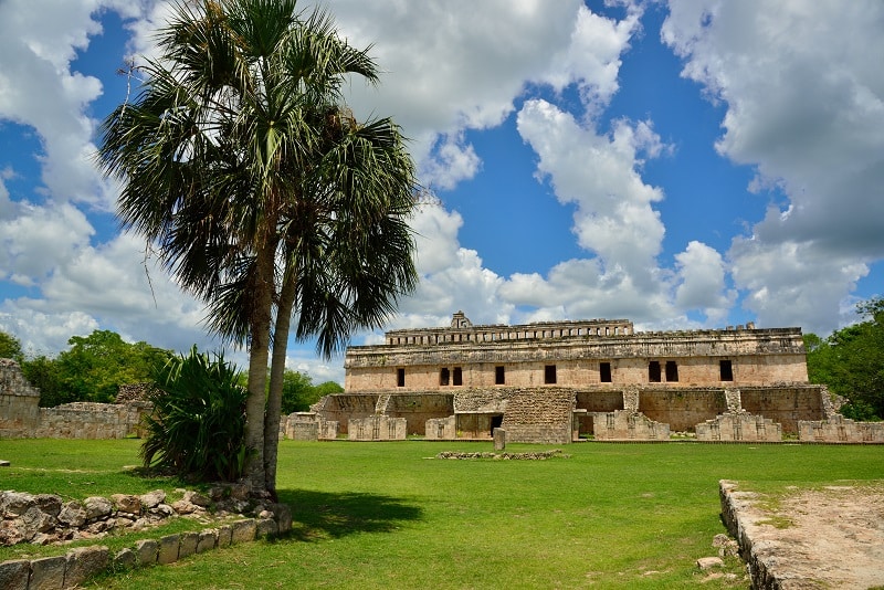 Ruined building with palm tree