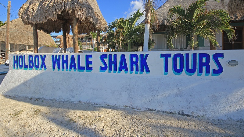 Whale Shark Tour Sign