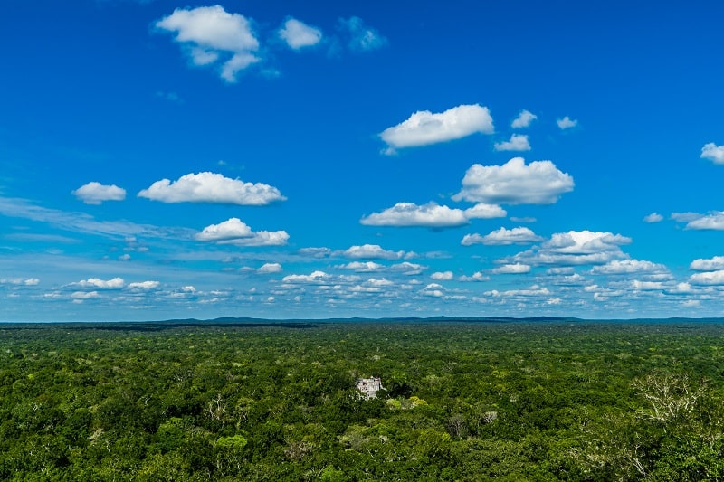 Calakmul within the Selva Maya Forest