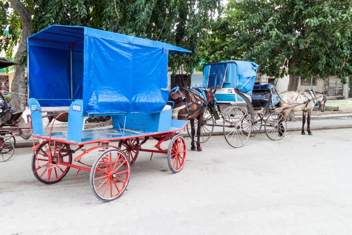 Bayamo Carriage Tour