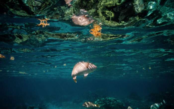 Belize Great Blue Hole