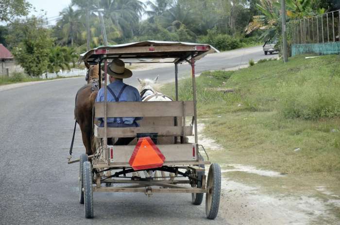 Belize Menonites