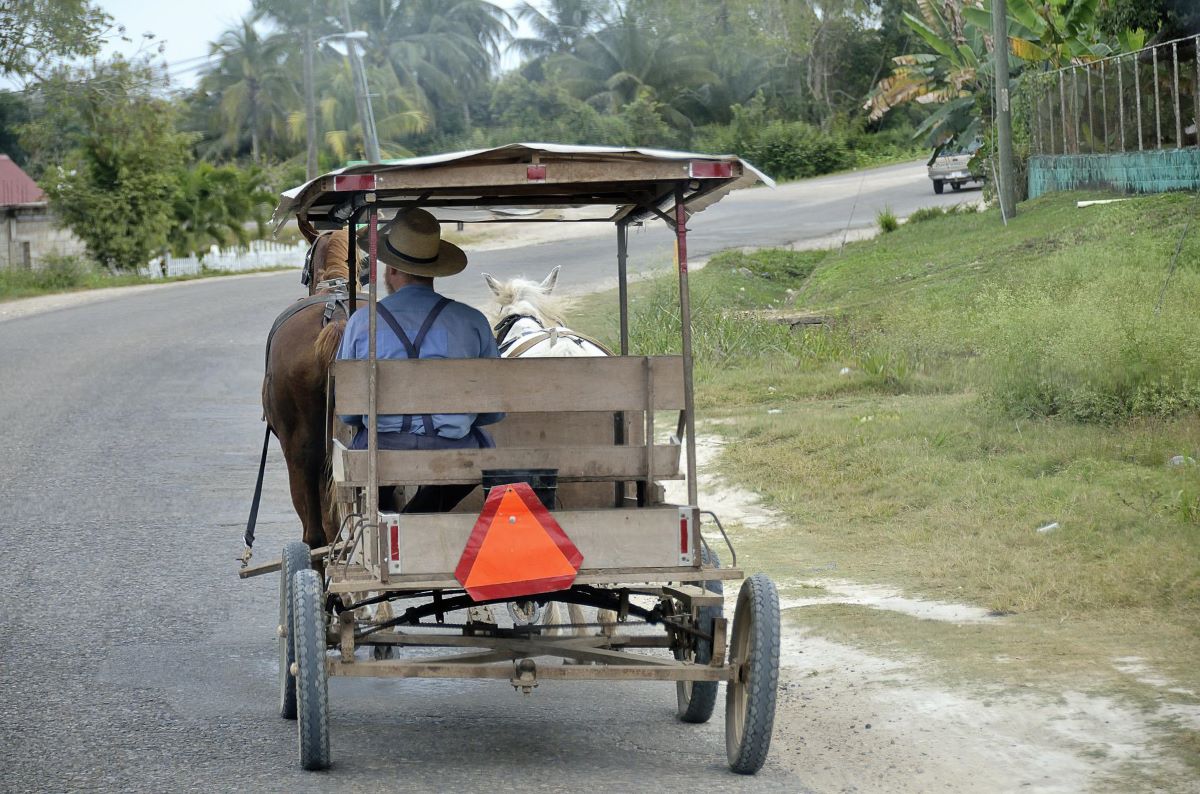 Belize Menonites