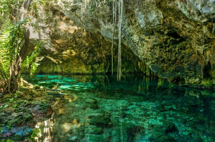 Cenotes Yucatan Mexico