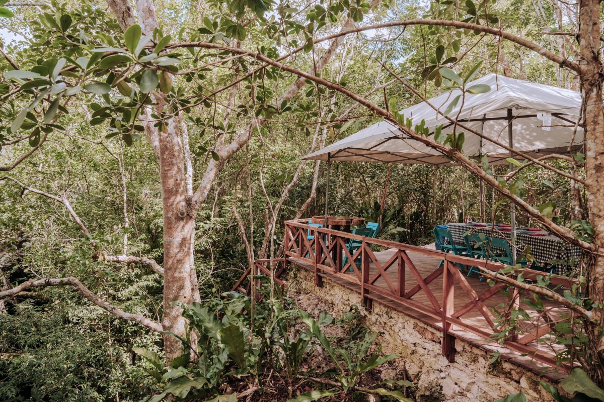 Cenote Seating