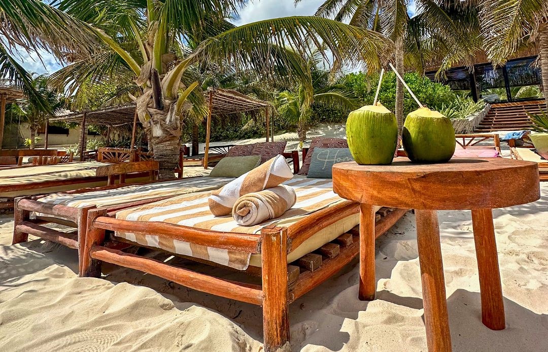 Coconuts Beach Bed