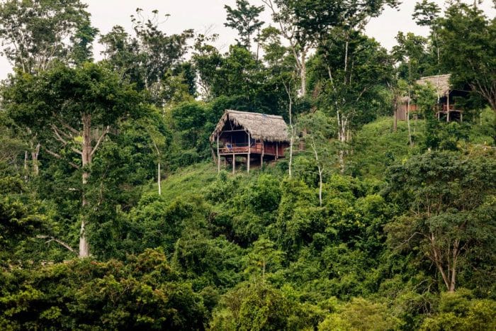 Cabanas In Jungle Guacimo Lodge