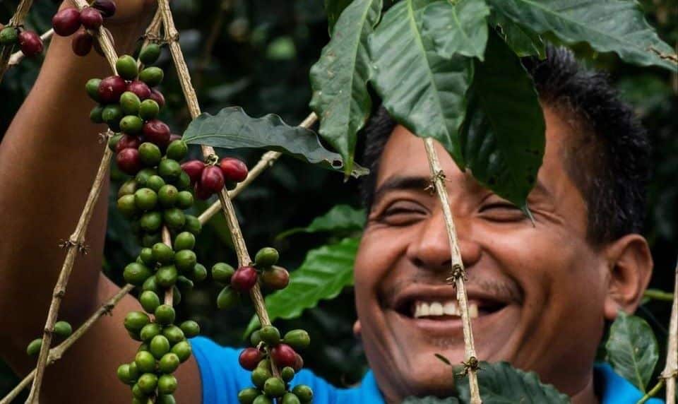 Coffee Tour Matagalpa