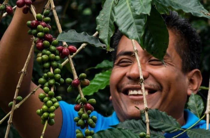Matagalpa Coffee