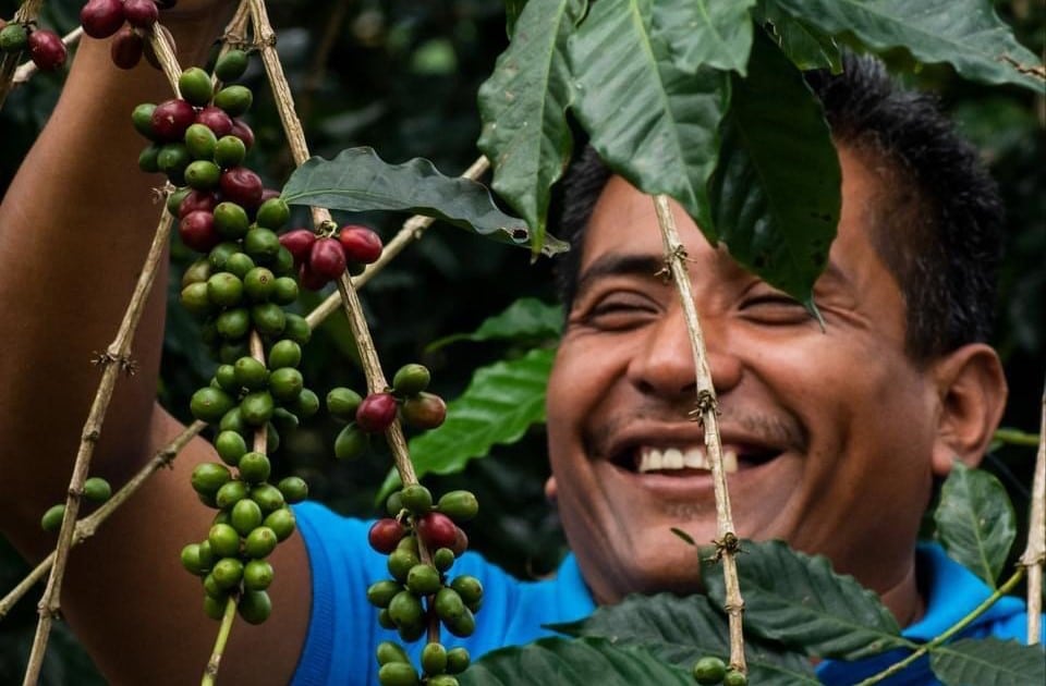 Matagalpa Coffee