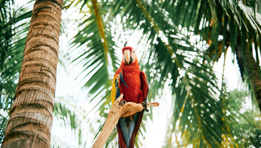 Matagalpa Nicaragua
