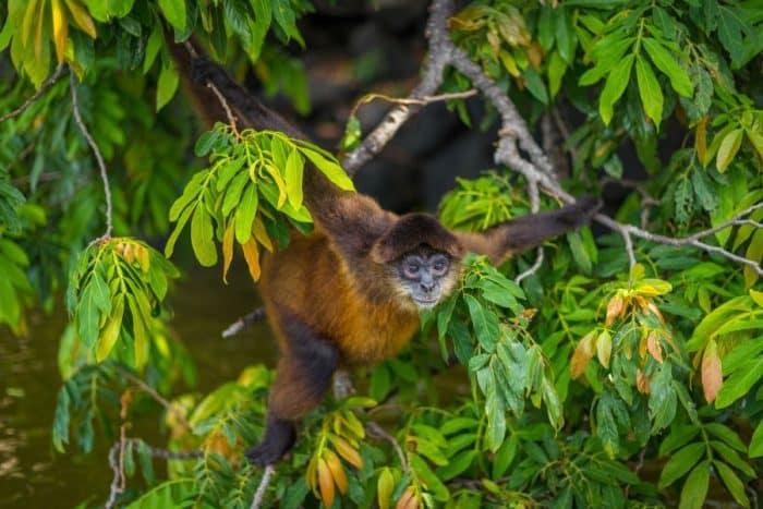 Natural Nicaragua Itinerary