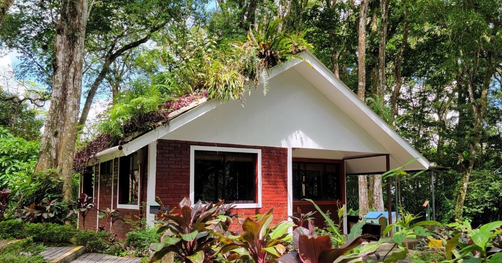 Selva Negra Bungalow