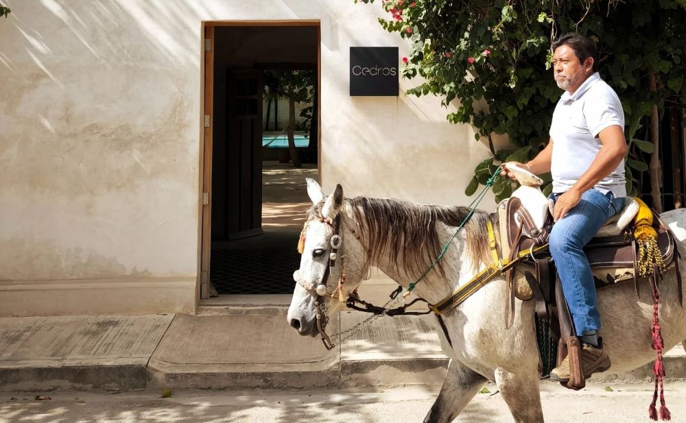 Man On Horse Yucatan