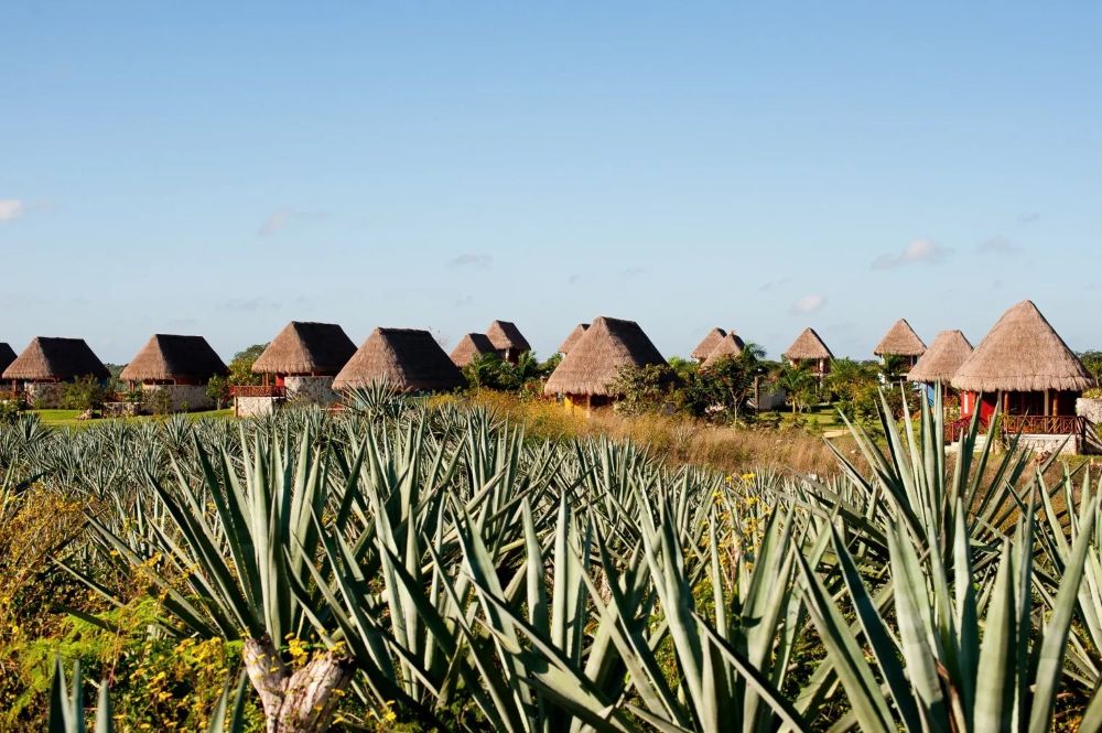 Hacienda Cabanas