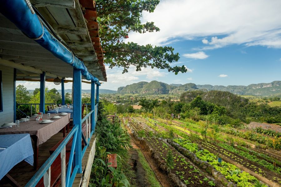 Vinales Restaurant