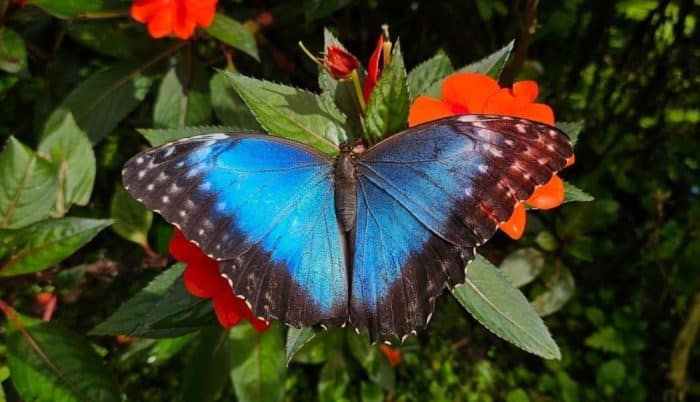 Atitlan Nature Reserve Guatemala