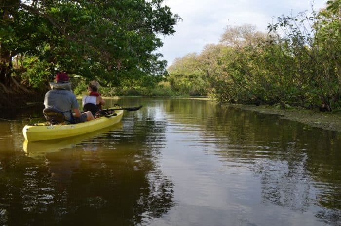 Istian River Kayak Tour