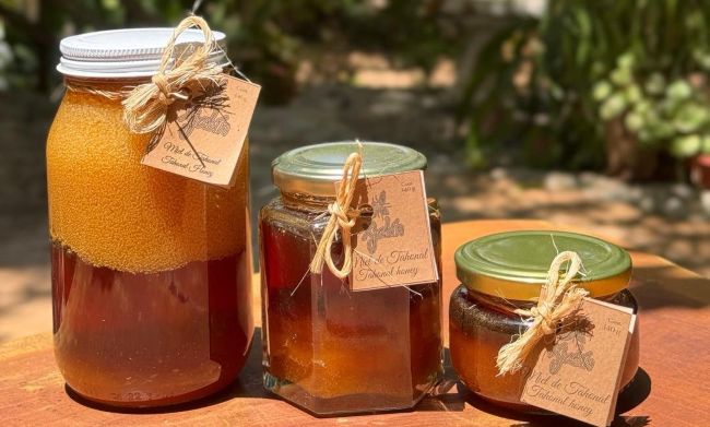 Stingless Bee Honey Mexico